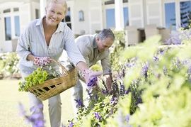 Predavanje i radionica – “Visoki krvni tlak”