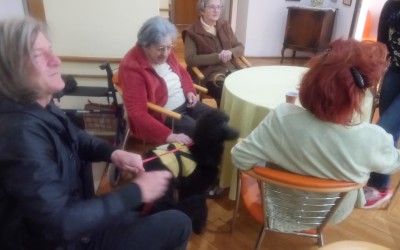 SURADNJA S HRVATSKOM UDRUGOM ZA ŠKOLOVANJE PASA VODIČA I MOBILITET