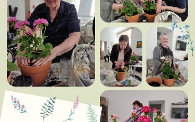 Obilježen Dan očaranosti biljkama